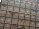 STONEWALL Stoner LP Akarma rare reissue Heavy Blues Psych 60s 70s Dust Bang Zior