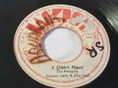 RARE - HORACE ANDY - A QUIET PLACE/REGGAE  45