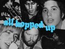 NRBQ - All Hopped Up - ID23z - vinyl LP - New