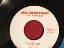 The Ramblers Buzzin' Bee b/w My Loving Wife Sunrise Records 45