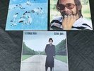 Elton John x 3 Vinyl LP Albums 12” Rock Of The Westies/Blue Moves/A Single Man