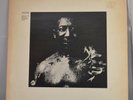MUDDY WATERS AFTER THE RAIN AMERICAN IMPORT