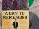 Homesick and For Those Who Have Heart vinyl bundle A Day To Remember