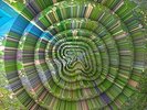 APHEX TWIN-COLLAPSE (BONUS TRACK) (EP) (DLCD) VINYL LP NUOVO