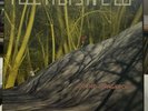 Orchid Spangiafora - Flee Past's Ape Elf - 2013 Feeding Tube Reissue