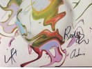 Idlewild - Interview Music Vinyl LP Limited Red Indies Edition - SIGNED New 2019