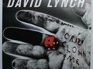 David Lynch Sunday's Best UK Electronic 2LP 2011