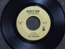 THE VAQUEROS Echo AUDITION 6102  M- GARAGE/SURF