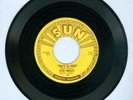 ELVIS PRESLEY SUN 209 