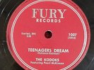 THE KODOKS - 78 - Teenager's Dream / Little Boy And Girl - Fury 1007 - VG++