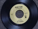 THE VAQUEROS Echo AUDITION 6102  M- GARAGE/SURF