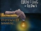 Underwater Sunshine (Or What We Did on Our Summer Vacation) by Counting Crows LP
