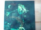 Dead Meadow - Feathers