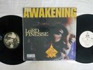 LORD FINESSE AWAKENING PENALTY PREPV3035 US VINYL 2LP