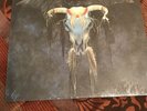 The Eagles One Of These Nights Sealed Lp First Press Textured Top Loader
