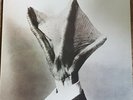 AMAZING BLONDEL  LP  BAD DREAMS
