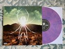 My Chemical Romance - Danger Days: The True Lives.. EX/EX RARE Purple Vinyl LP