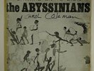 Abyssinians 