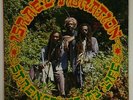 Israel Vibration 