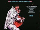 Raised on Rock by Elvis Presley BRAND NEW LP HQ - 180 GRAM VINYL RARE