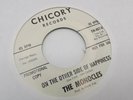 RARE 1966 The Monocles Garage 45 Spider and the fly Chicory Acid Psych Colorado
