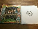 Rich Kids On LSD ?- Rock N Roll Nightmare   [LP Vinyl] Alchemy EFA 7223 France