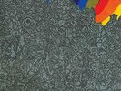 LIGHTNING BOLT-WONDERFUL RAINBOW (COLV) (DLCD) VINYL LP NEW