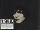 Dandy In The Underworld - 180gm T-Rex / Tyrannosaurus Rex picture disc LP viny