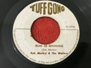 BOB MARLEY & THE WAILERS / SUN IS SHINING & RUN FOR COVER REGGAE 45 TUFF GONG