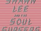 `LEE, SHAWN & THE SOUL SURF...-SHAWN LEE & THE SOUL SURFERS LP VINYL LP NEW