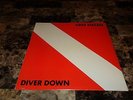Van Halen Diver Down Sealed Vinyl LP Record Eddie David Lee Roth FREE SHIPPING