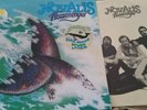 LP  Novalis - Flossenengel / Ahorn - Vinyl near mint, Innersleeve & Aufkleber