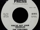 THE FORTUNES-You've Got Your Troubles+I've Gotta Go Promo 45-PRESS #9773