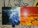 Poison The Well - Tear From The Red/The Opposite Of December 2 LP Vinyl