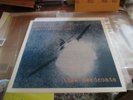 THEE HEADCOATS - Messerschmitt Pilot's Severed Hand -Lp 1st press Billy Childish