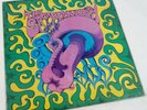 LP 1969 The Sacred Mushroom Parallax P-4001 Cincinnati OH Psych VG Vinyl Record