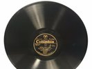 The Charleston Chasers COLUMBIA 2309 Loving You the Way I Do/You Lucky To Me