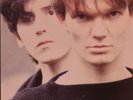THE HOUSE OF LOVE SELF TITLED LP UK ORIGINAL