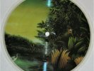 FLEETWOOD MAC Big Love Test Pressing 7