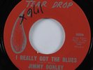 Swamp Rock R&B 45 JIMMY DONLEY I Really Got The Blues TEAR DROP HEAR