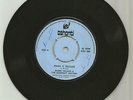 SHARK WILSON & BASEMENT HEATERS / MAKE IT REGGAE / VERSION / 7''/
