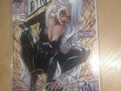 New SDCC 2019 j scott campbell signed The Marvelous Black Cat variant 1A  Marvel