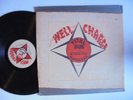 Vital Dub WELL CHARGE Roots Dub Reggae LP HEAR