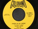 DANNY JAMES: Paper In My Shoes / Boogie In The Mud 45 Oldies