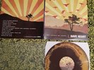 have heart sxe original vinyl LP gorilla biscuits
