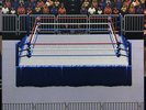 WWF Super Wrestlemania RAW Game Soundtrack Vinyl Record LP Red Gorilla Records