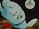 The New Pornographers In The Morse Code Of Brake Lights VINYL LP NEW (27TH SEP)