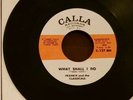 Frankie and The Classicals WHAT SHALL I DO ,NORTHERN SOUL,7