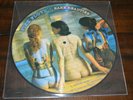 Pink Floyd - Rare Beauties PICTURE DISC vinyl record LP New