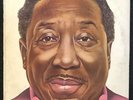 MUDDY WATERS I'm Ready 1978 Album LP Blue Sky JZ 34928 Promo - VG-EX/EX Vinyl